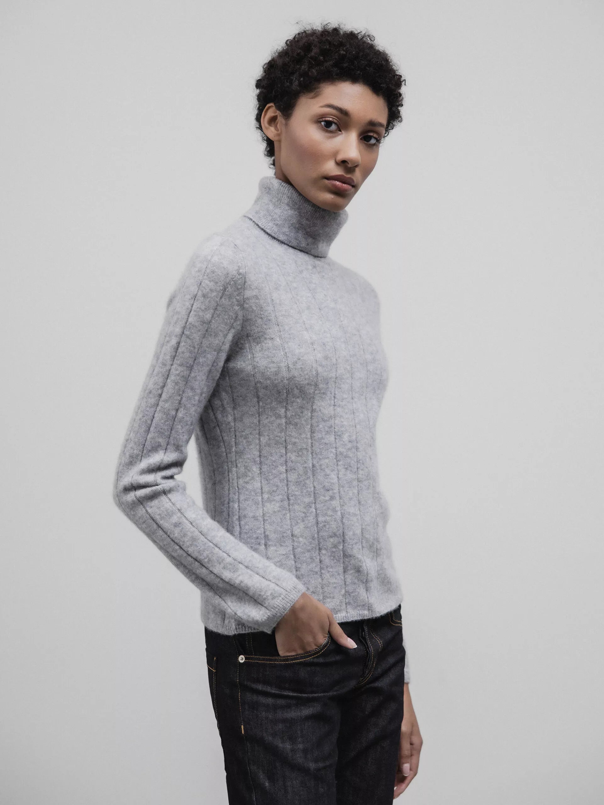 ALLUDE Rollkragenpullover aus Cashmere Damen (81 SILBER MEL)